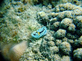 DSCF6578.JPG