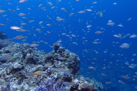 P6270513.JPG