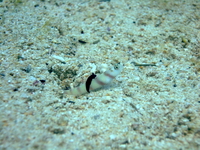DSCF0482.JPG