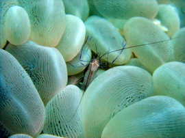 DSCF0482.JPG