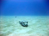 DSCF0883.JPG