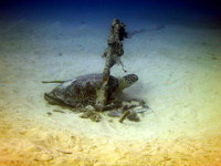 4-IMG_5402.JPG