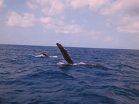 3-IMG_5599.JPG