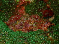 1-PC040002.JPG