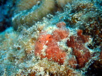 1-P5180020.JPG