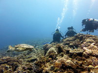 1-IMG_0327.JPG