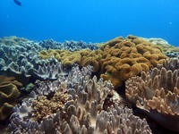 1-P6130003.JPG