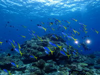 4-P7080025.JPG