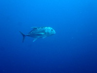 1-P8280003.JPG