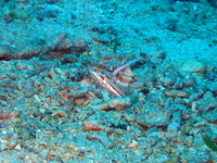 2-P8280017.JPG