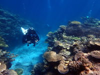 5-PA210048.JPG