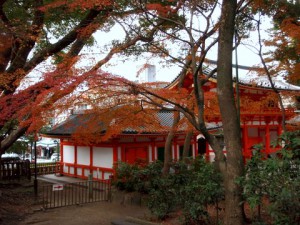 八坂神社の紅葉