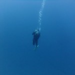 DSCF5516