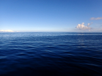 1-P7300001.JPG