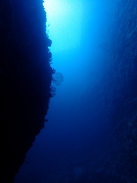 1-P6130001.JPG