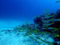 04-P8300023.JPG