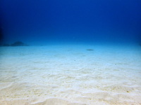 1-P1240002.JPG
