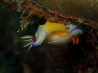 1-P4240004.JPG