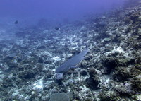 2-IMG_6073.JPG