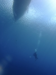 DSCF2072.JPG