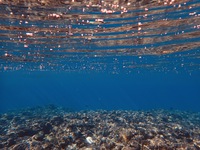 PB160027.JPG