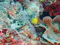 PC280041.JPG