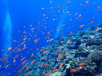 P9280010.JPG