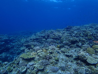 PB030007.JPG