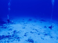 P7090025.JPG