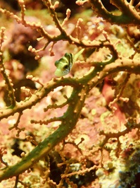 IMG_0635.JPG