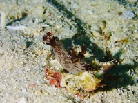 PC280016.JPG