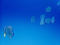 PC3000277.JPG