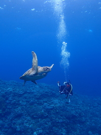 P1270021.JPG
