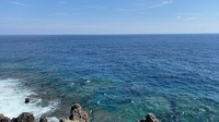 IMG_6954.JPG