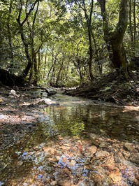 IMG_6970.JPG