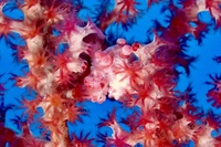 P6100003.JPG