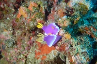 P6100026.JPG