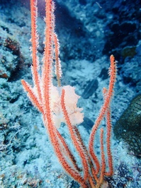 P626002a1.JPG