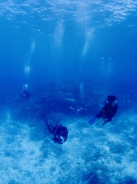 P70tw60021.JPG