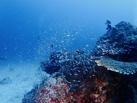 P7100004.JPG