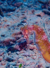 P7200003.JPG