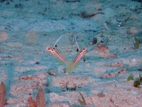 PA280028.JPG