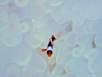 PB230059.JPG
