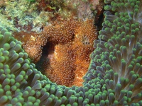 PC130033.JPG