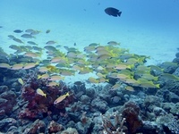 PC190006.JPG