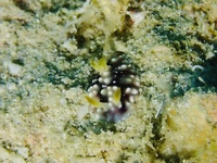 PC280029.JPG