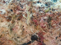 PC310033.JPG