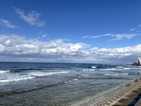 IMG_8206.JPG