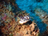P1080005.JPG