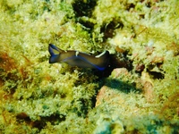 P1080007.JPG